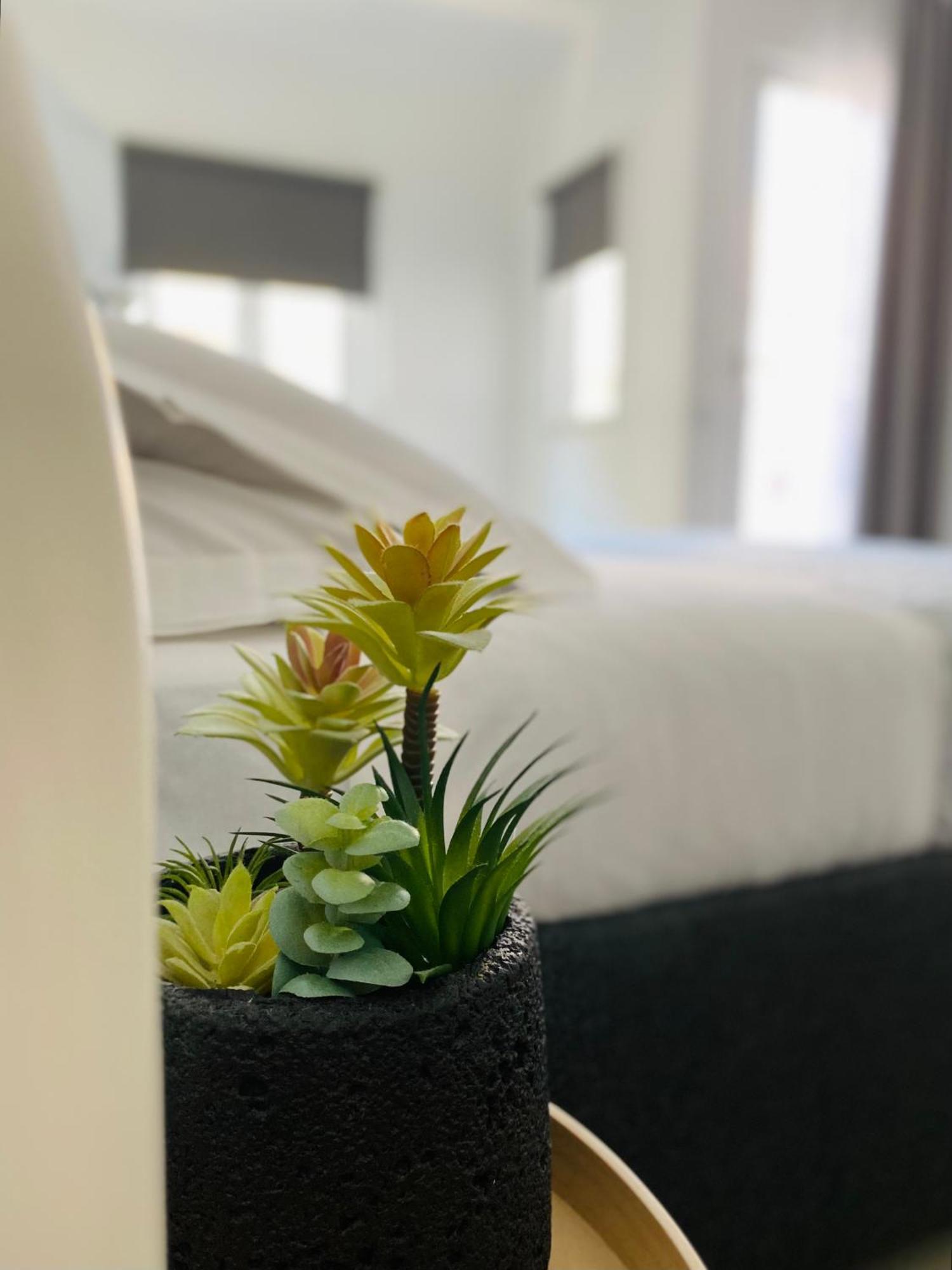 Attico Belvedere Apartment Palermo