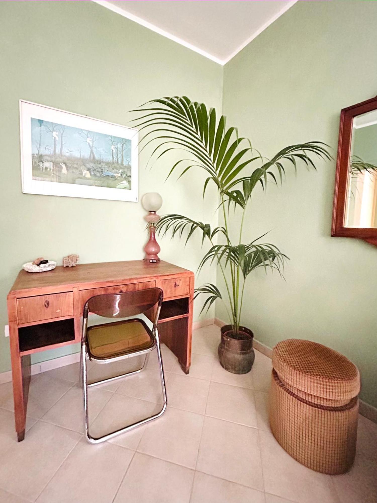 Apartment Fajra House