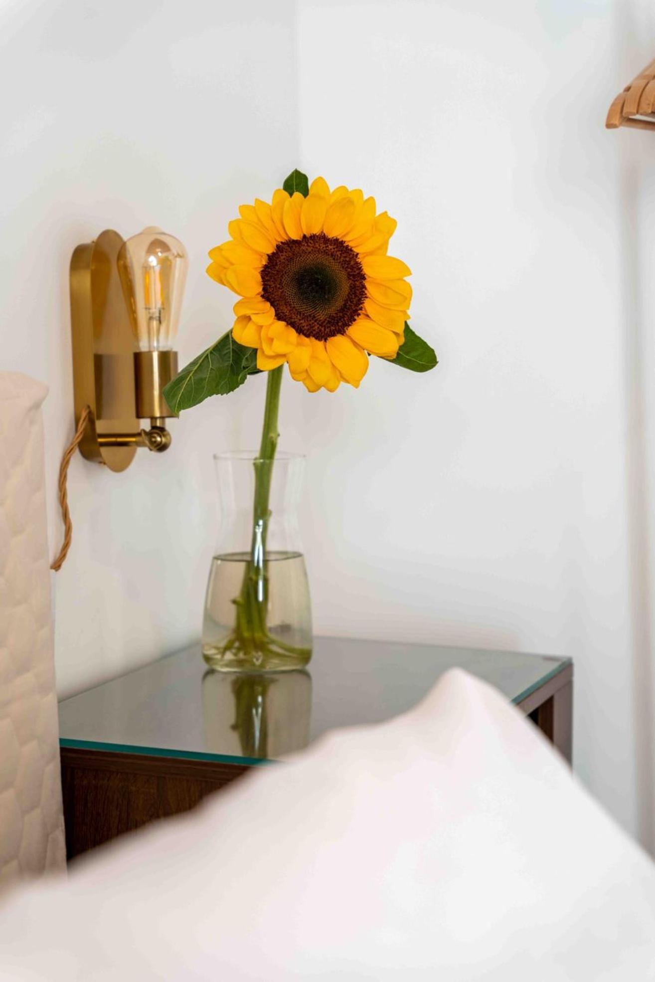 Homestay Regina Appartament