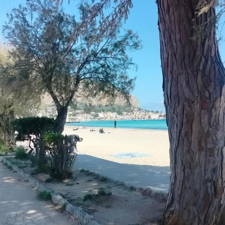 Affittacamere Juno's Mondello