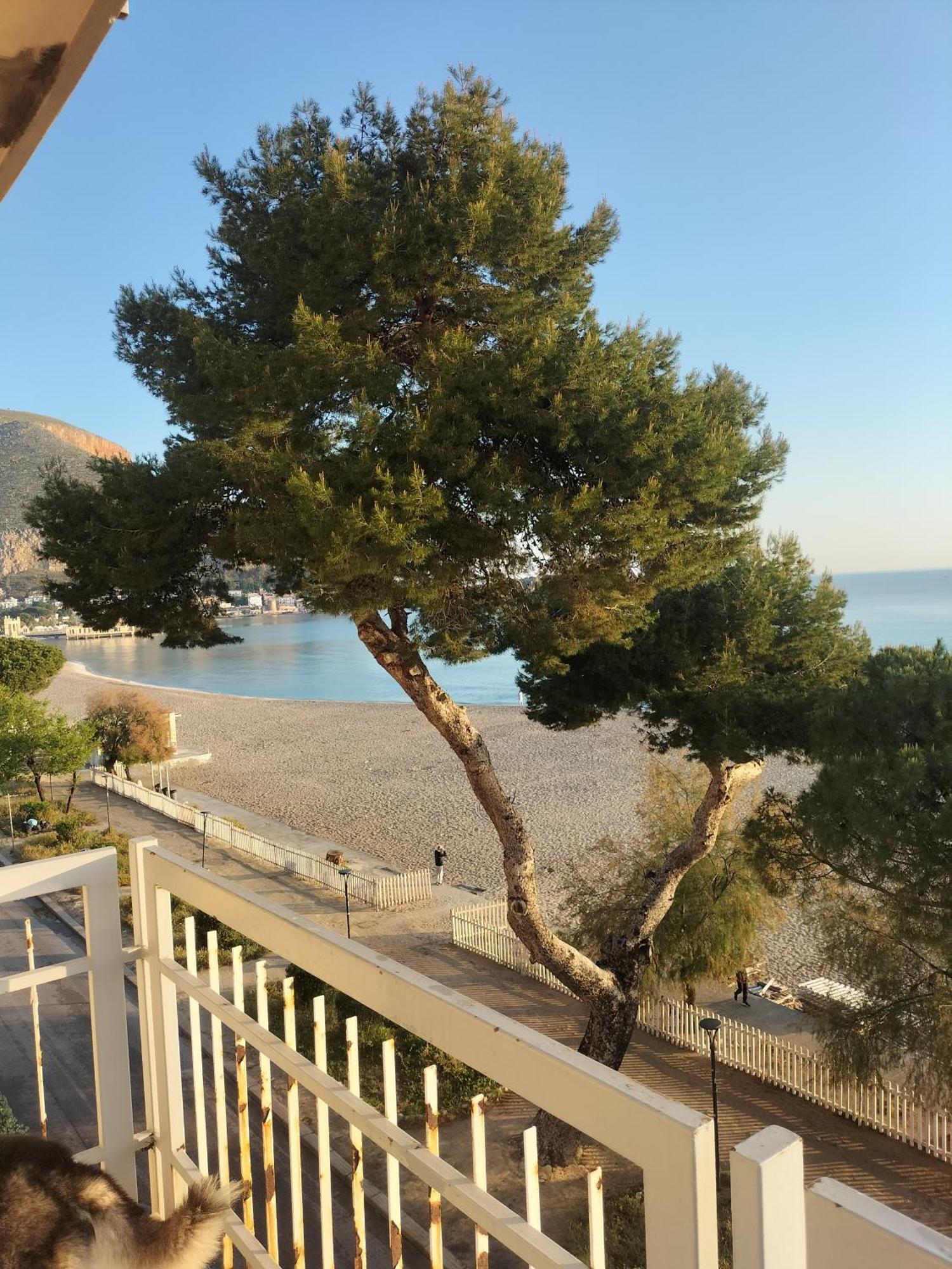 Guest house Fronte Mare Palermo