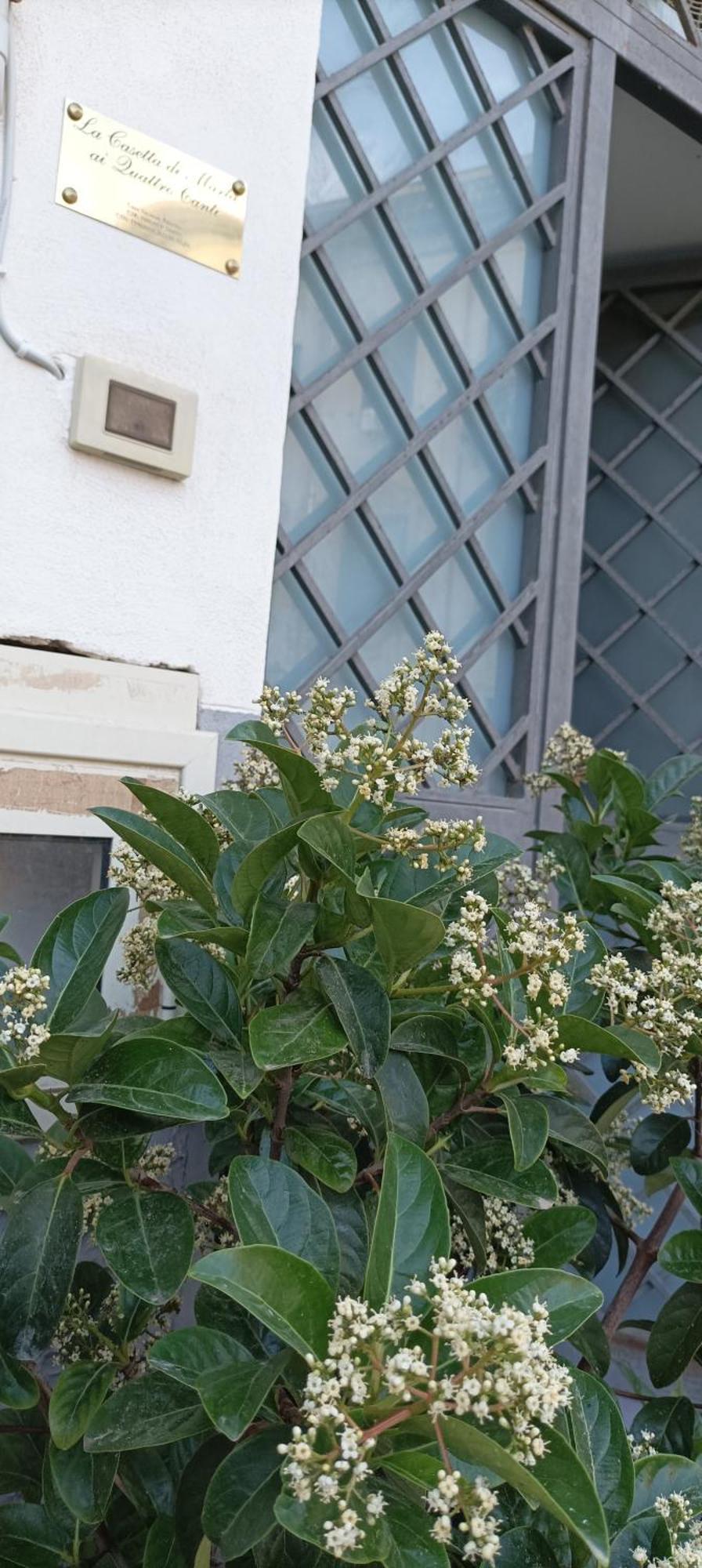 La Casetta Di Marta Ai Quattro Canti Palermo