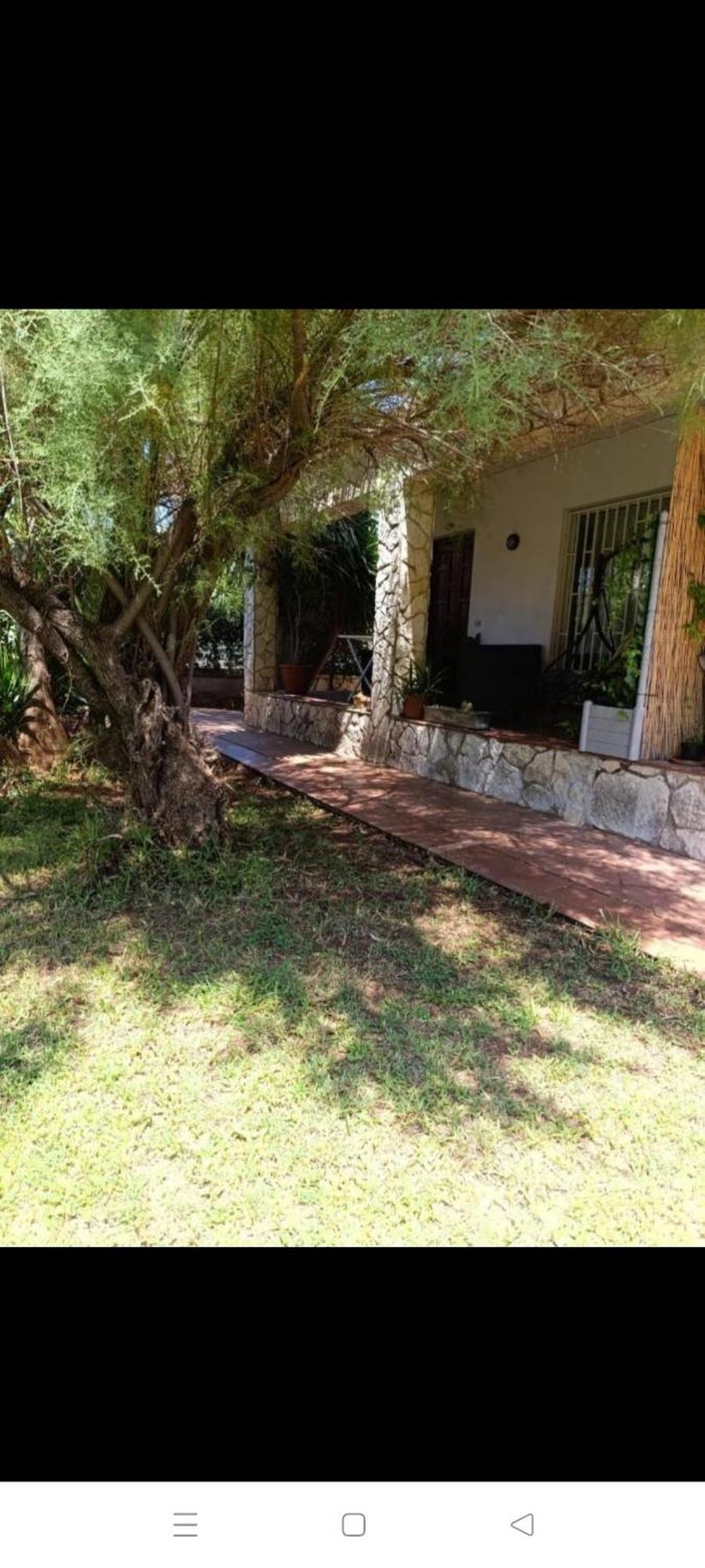 House In Garden *