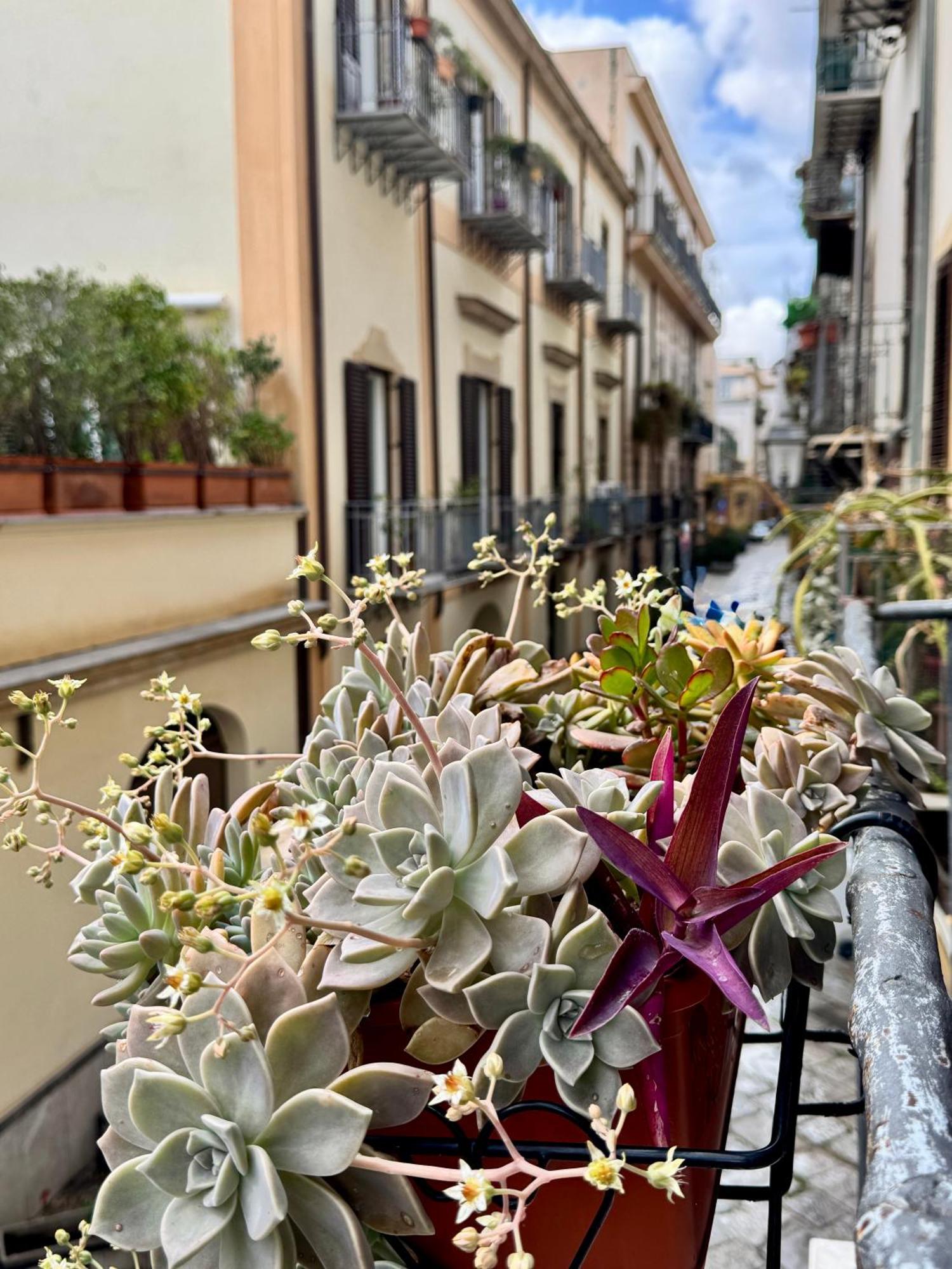 Vetriera Apartment Palermo