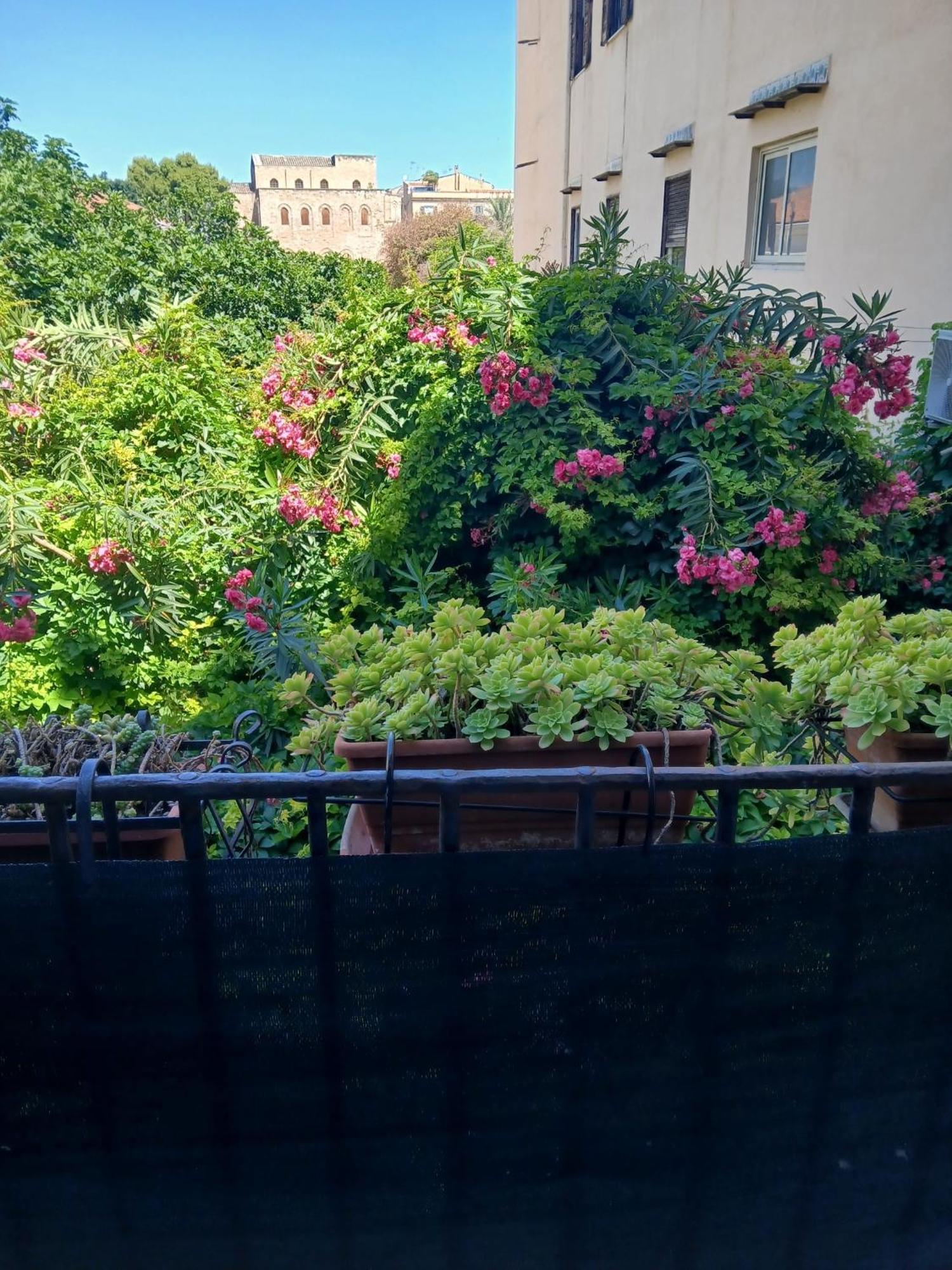 Bed & Breakfast Casa Degli Artisti Palermo