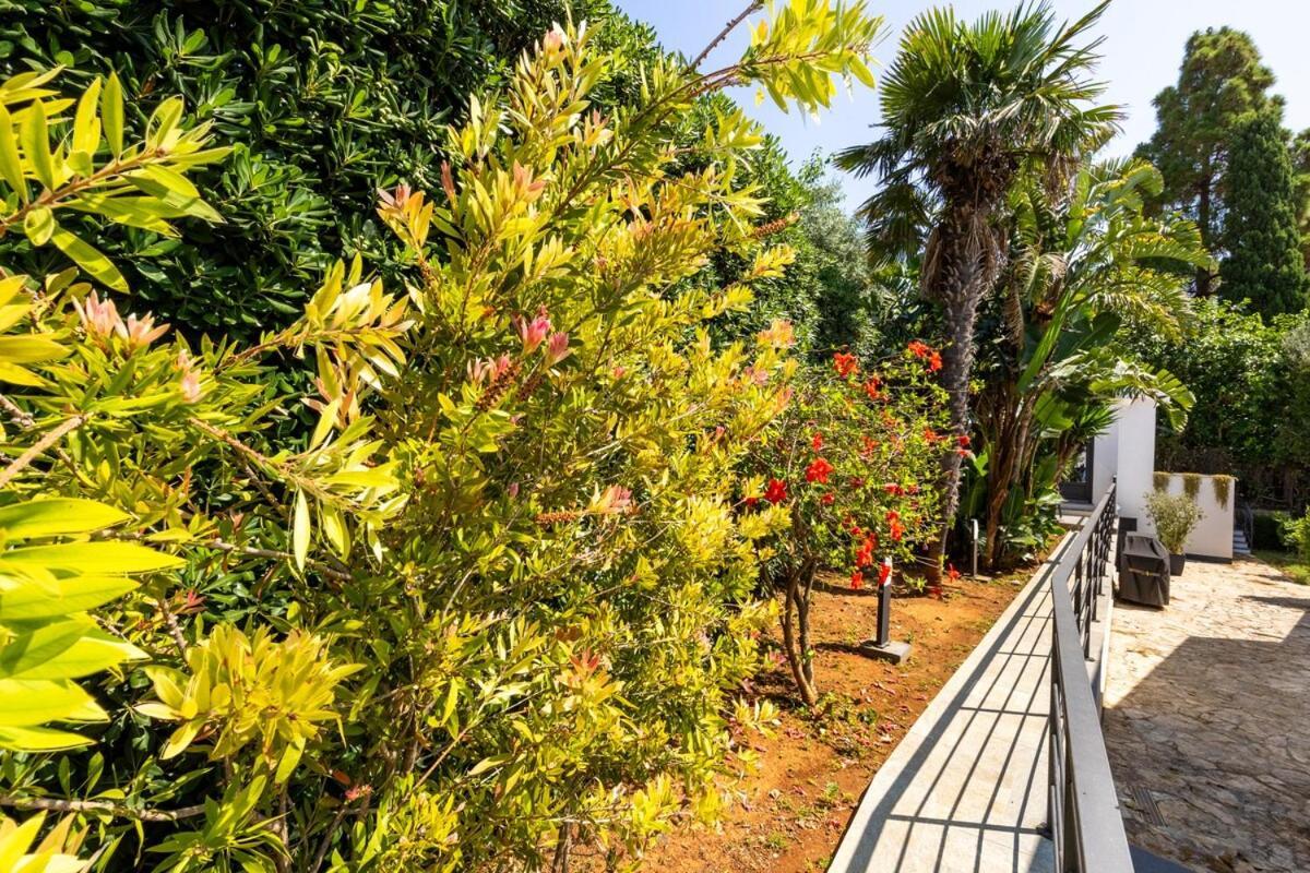 Apartment Ibis With Swimming Pool Palermo