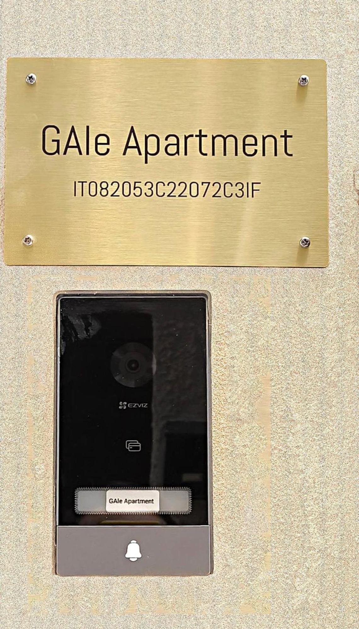 Gale * Palermo