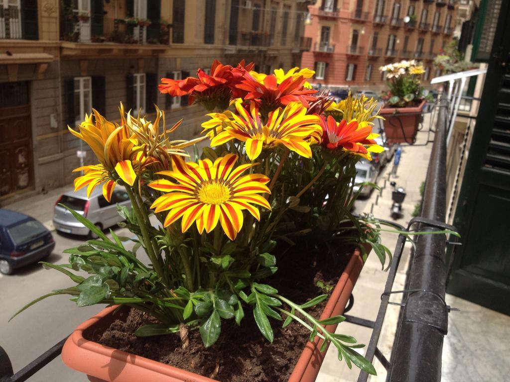 Bed & Breakfast Alba Palermo