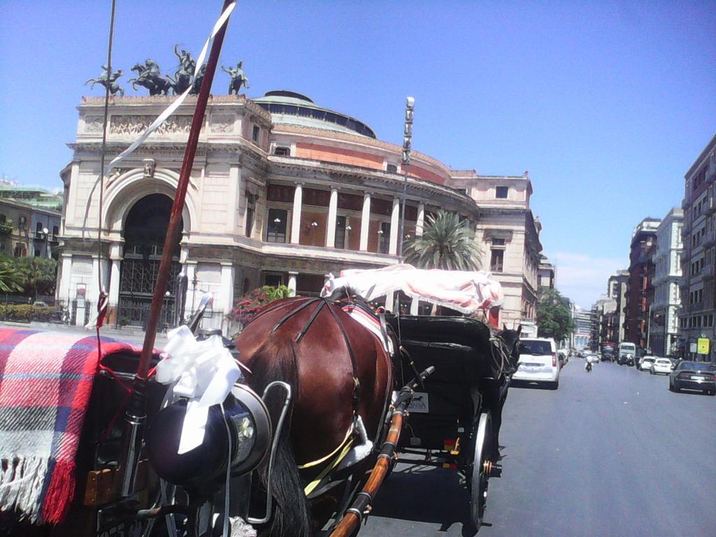 Guest house Palermo Centrale *
