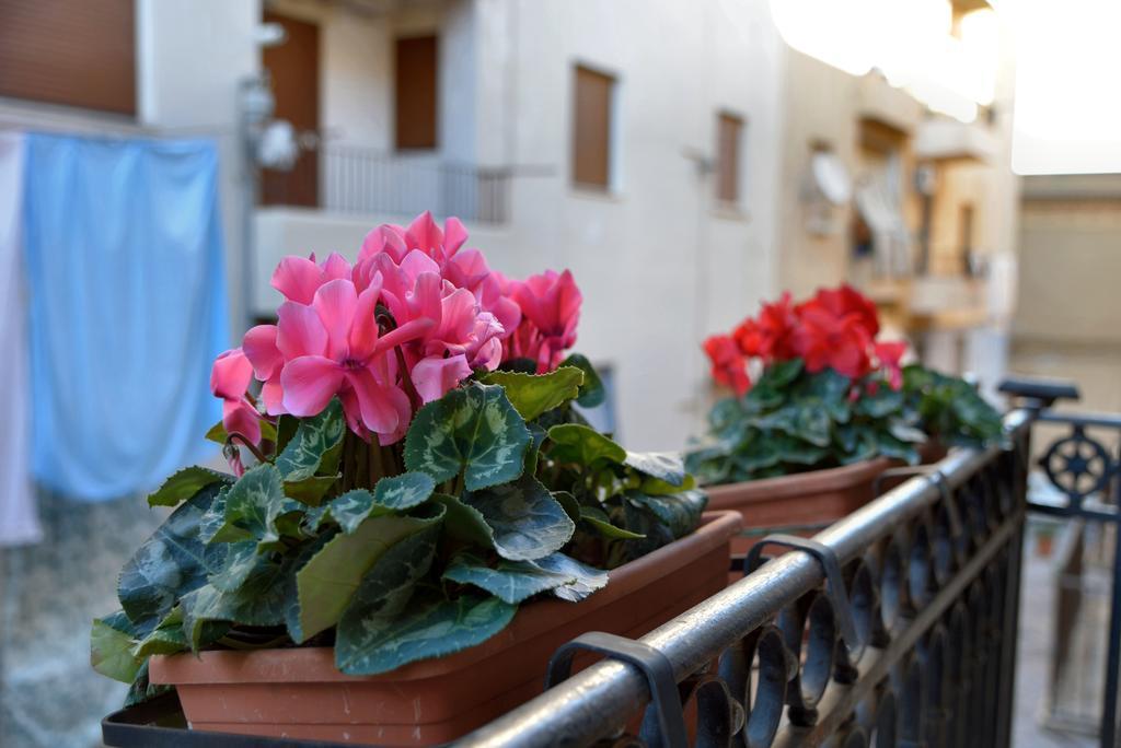 Bed & Breakfast Real Teatro Umberto I *