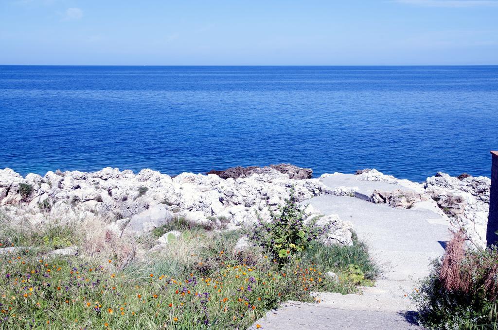 Addumari * Palermo