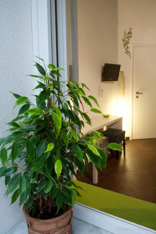 Carella Bed & Breakfast Palermo