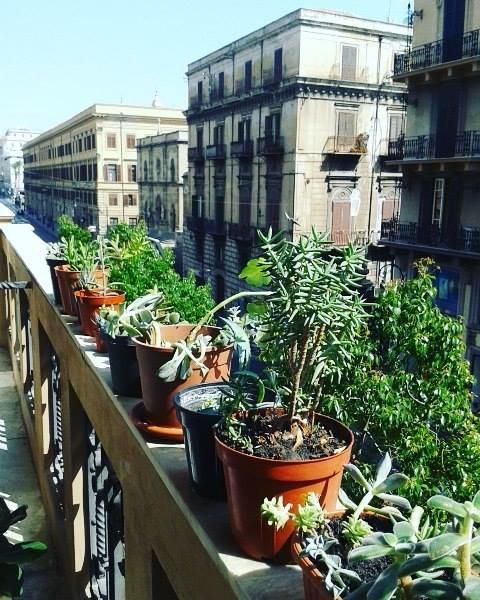 Palazzo Savona Guest house Palermo