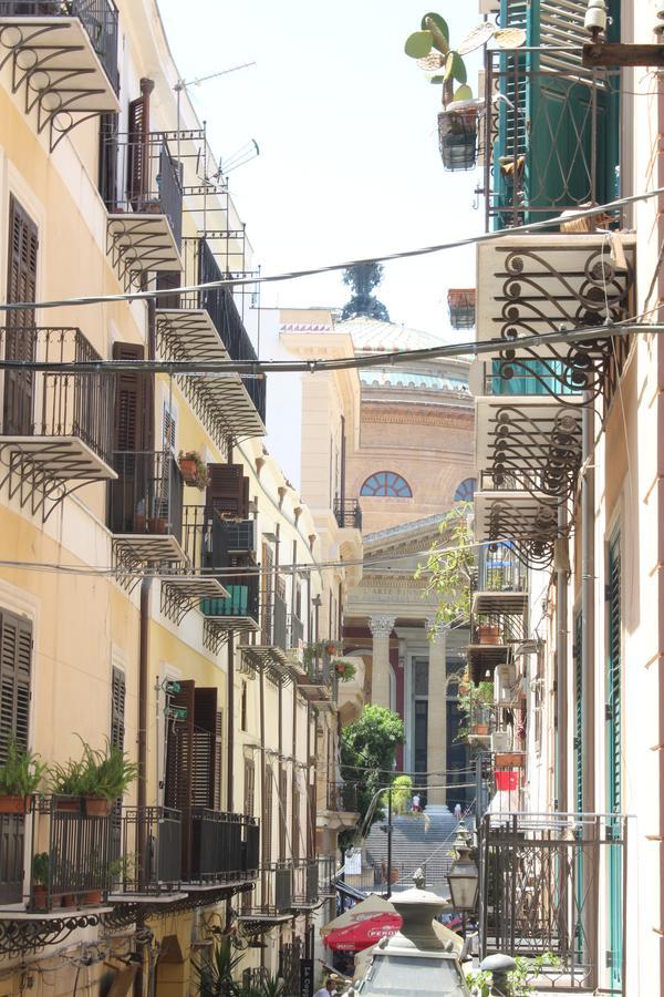 Amuni - Palermo