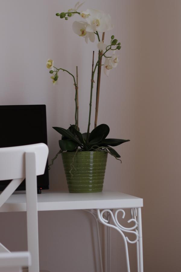 Bed & Breakfast Gallidoro Palermo
