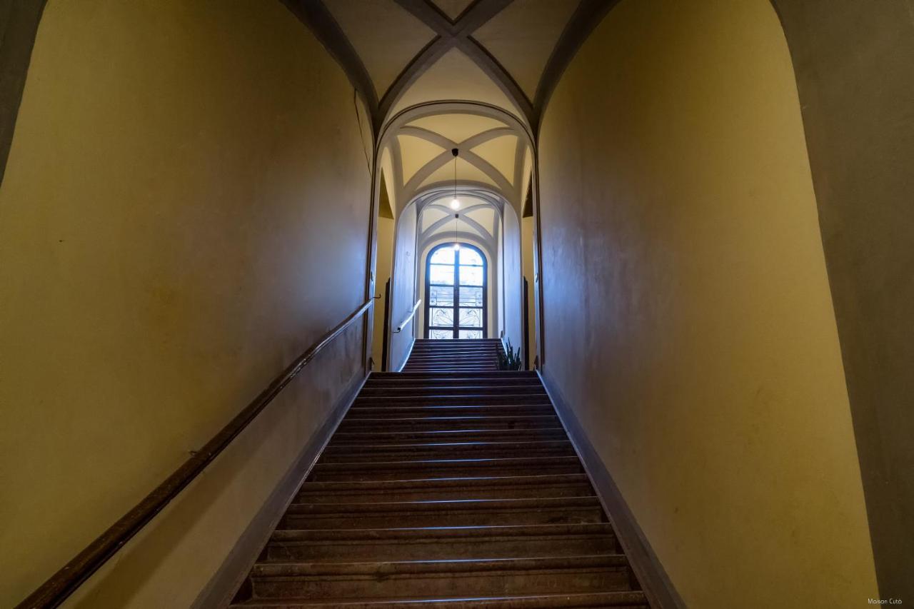 Maison Cuto