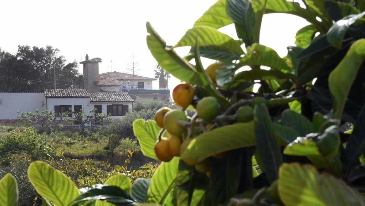 Country house Calajo' Palermo