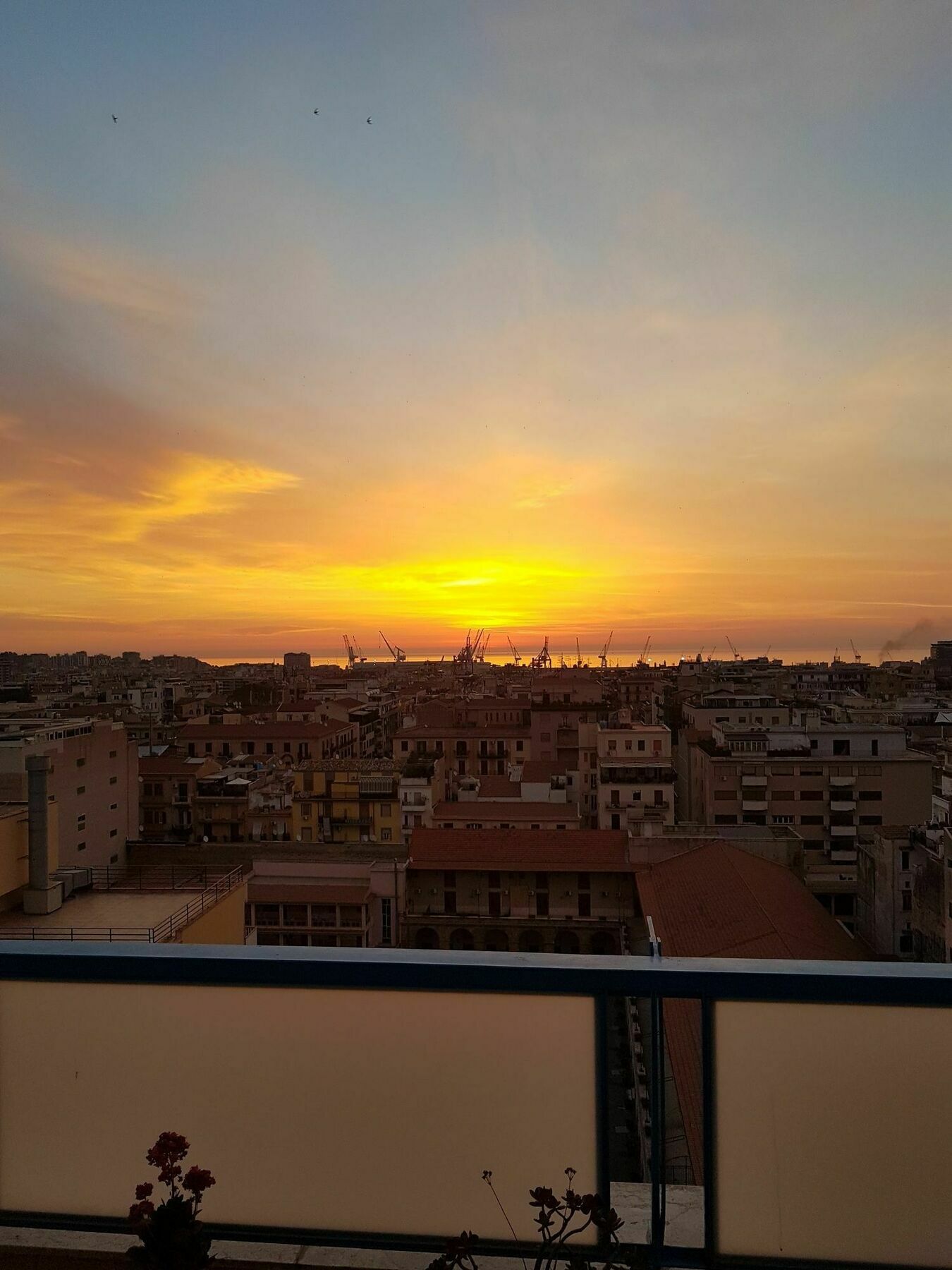 Guest house Casa Riccio Palermo