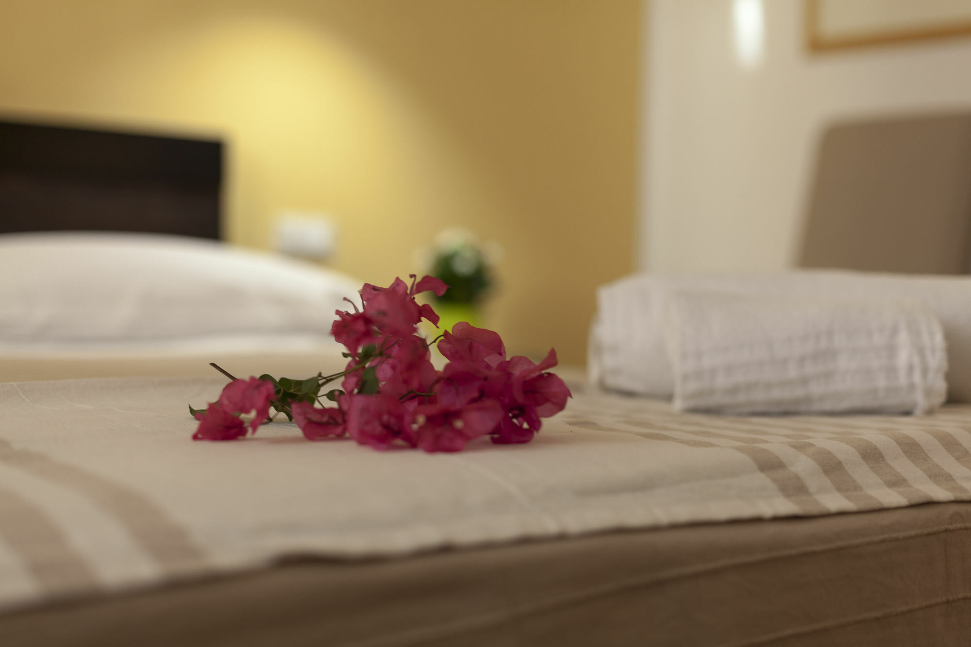 Bed & Breakfast Piazza Marina