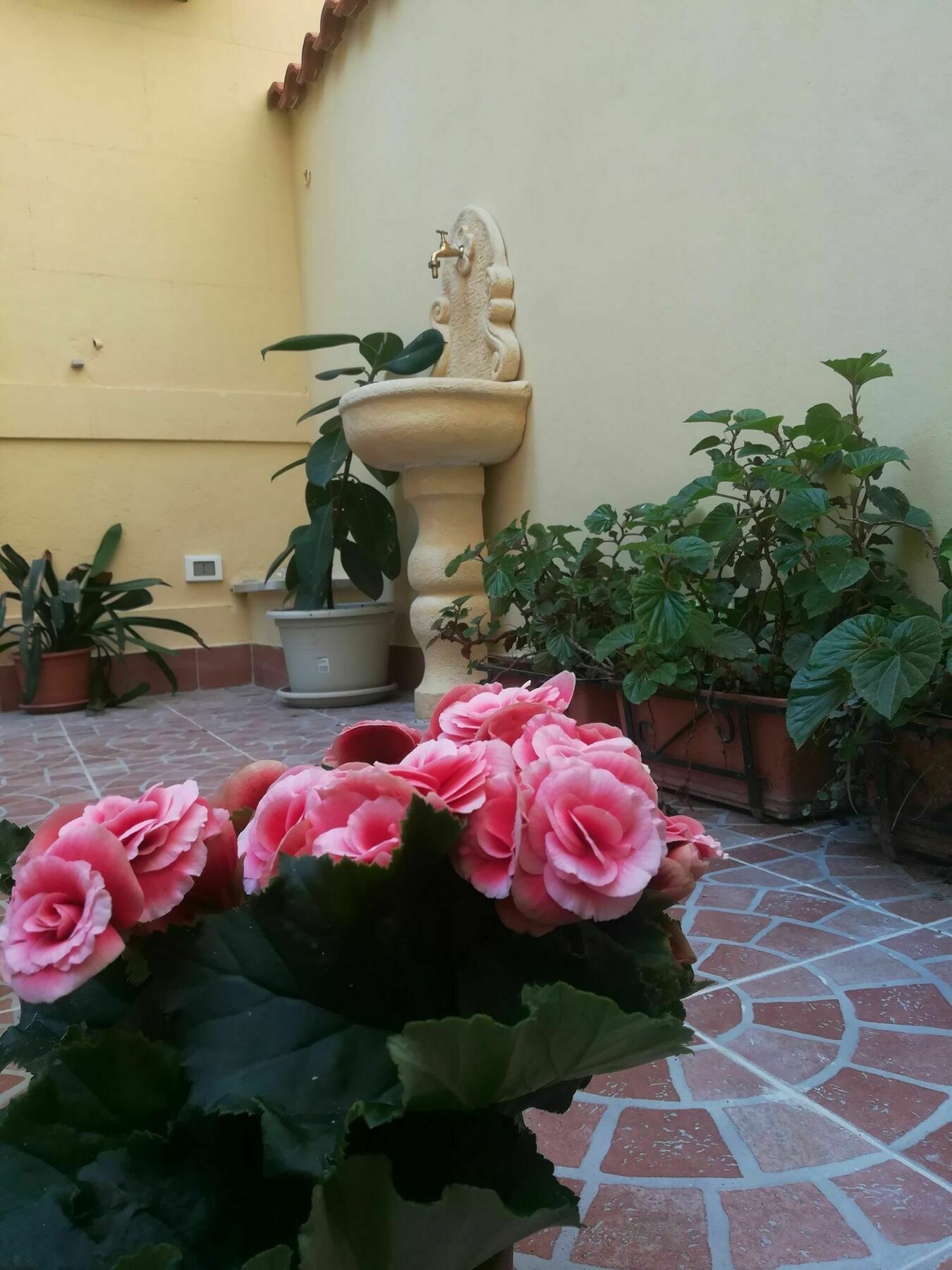 Guest house Le Rose Del Viale Palermo