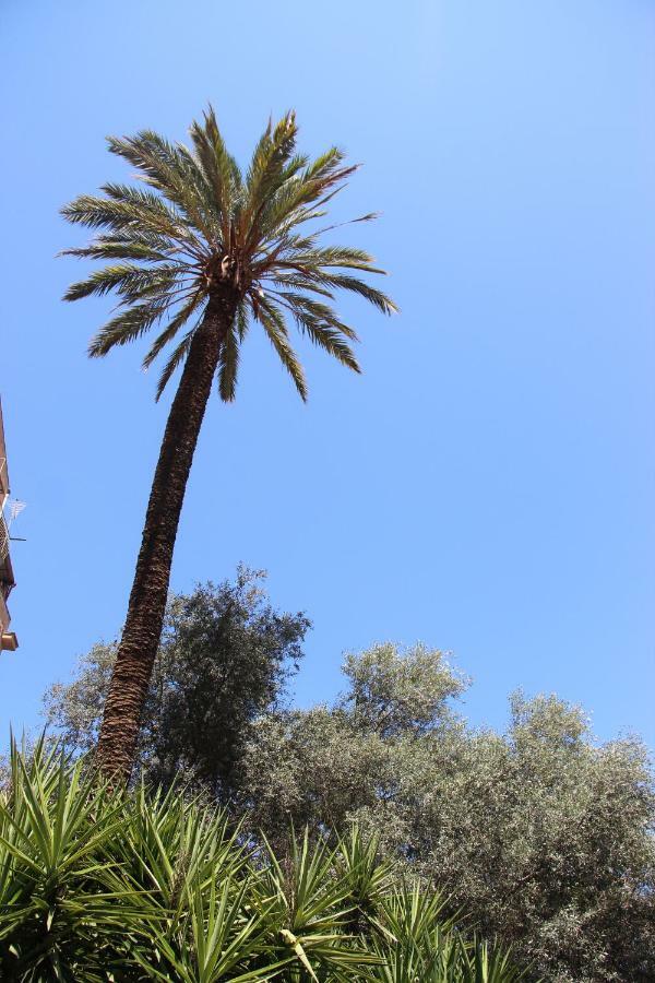 Bed & Breakfast Corte Del Merlo