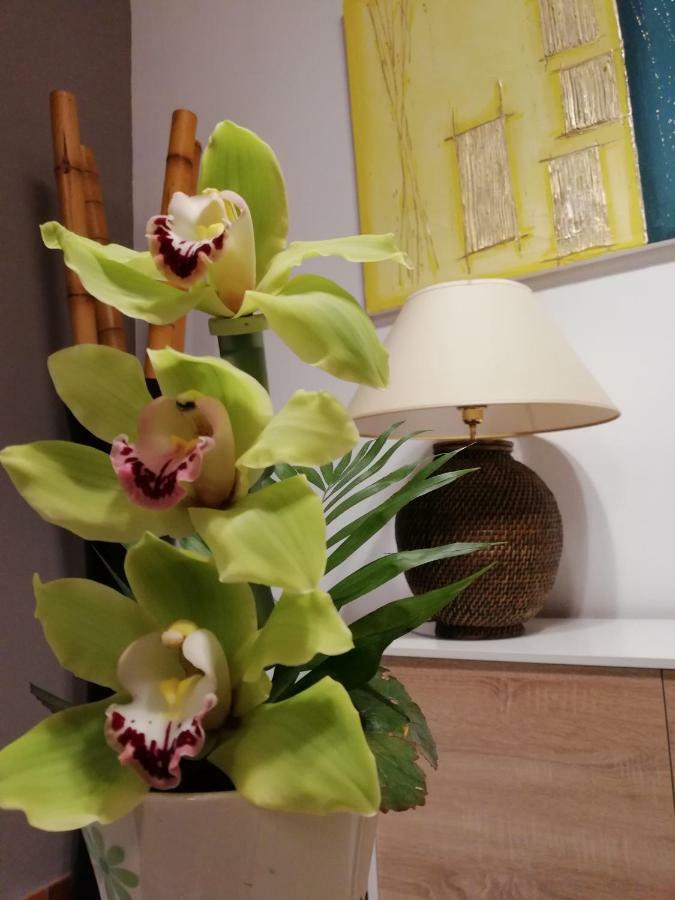 Casa Nel Vicolo Holiday home
