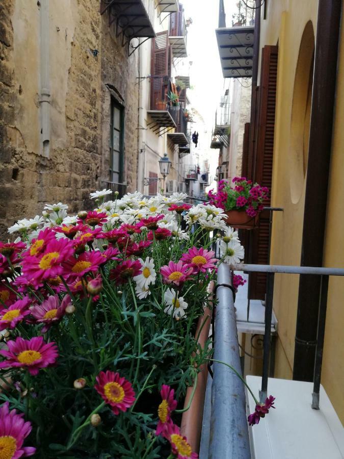 Casa Nel Vicolo *