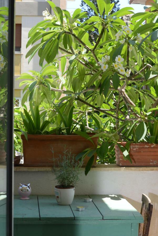 Penelope Homestay