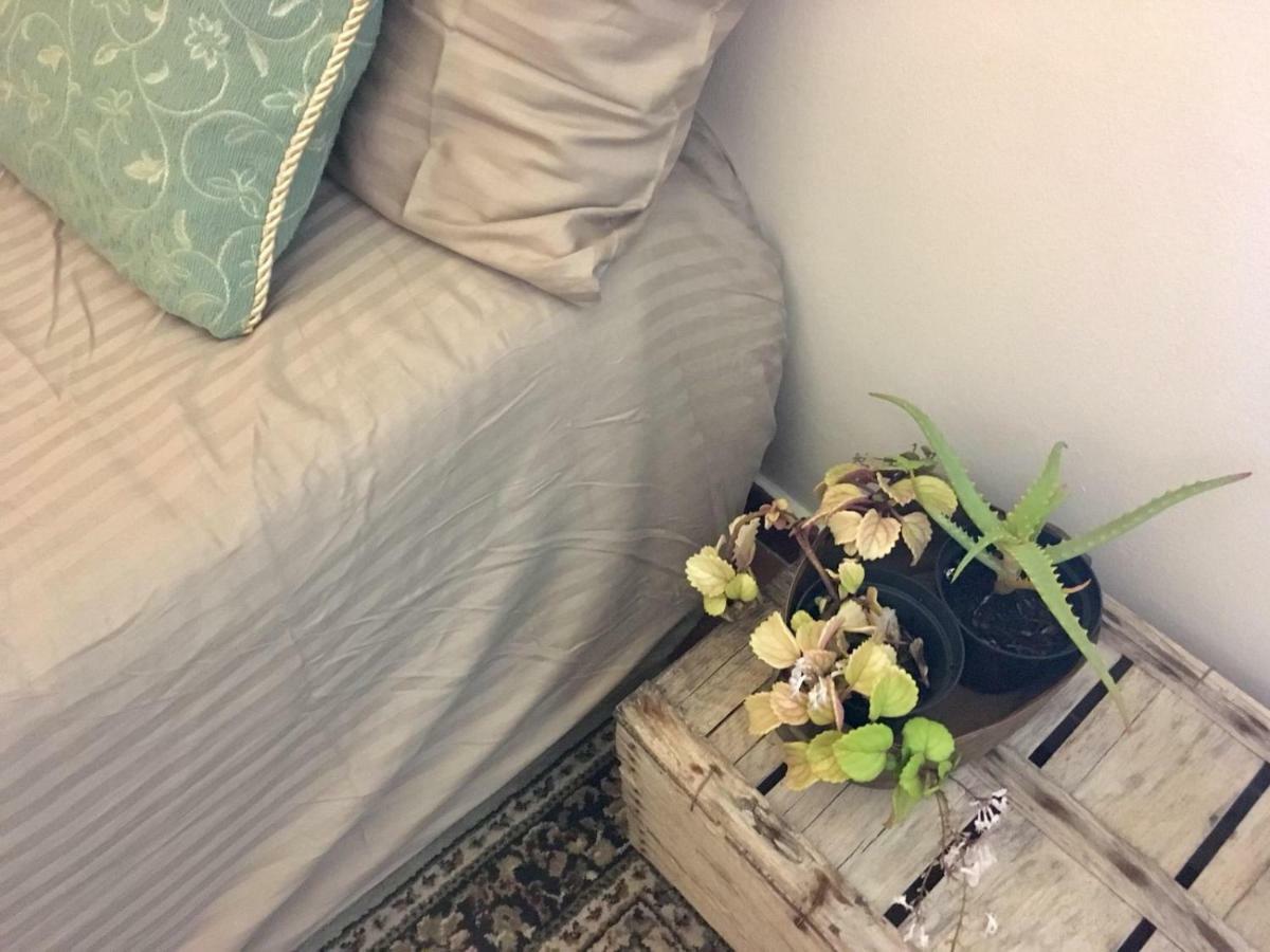 Camera-attico Luminoso Con Terrazza Homestay