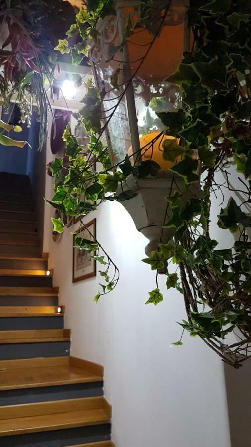 Apartment Casa Kalos