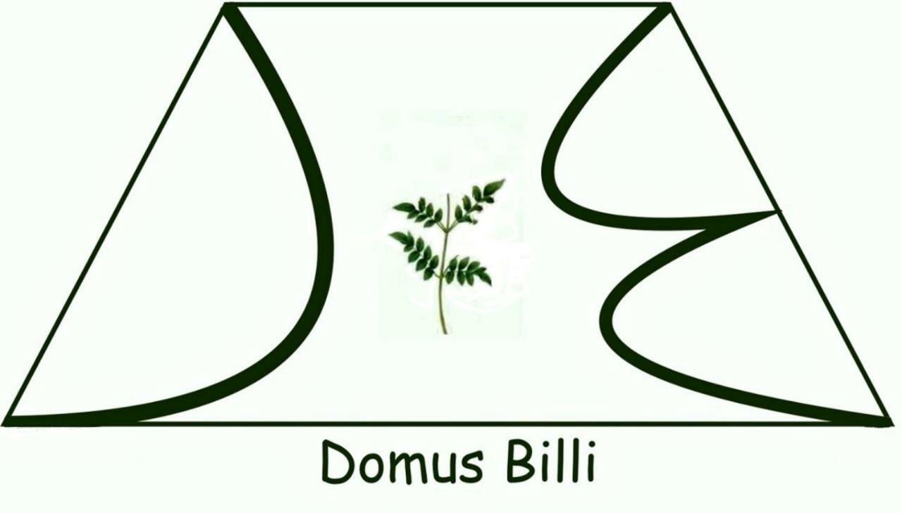 Holiday home Domus Billi