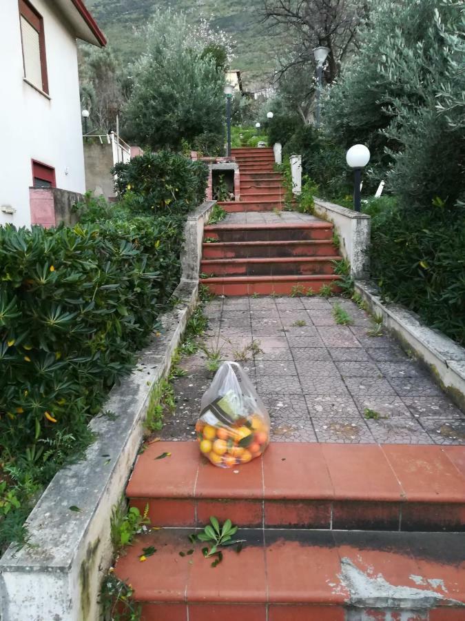 Country house Grazia - Casa Priscilla Palermo