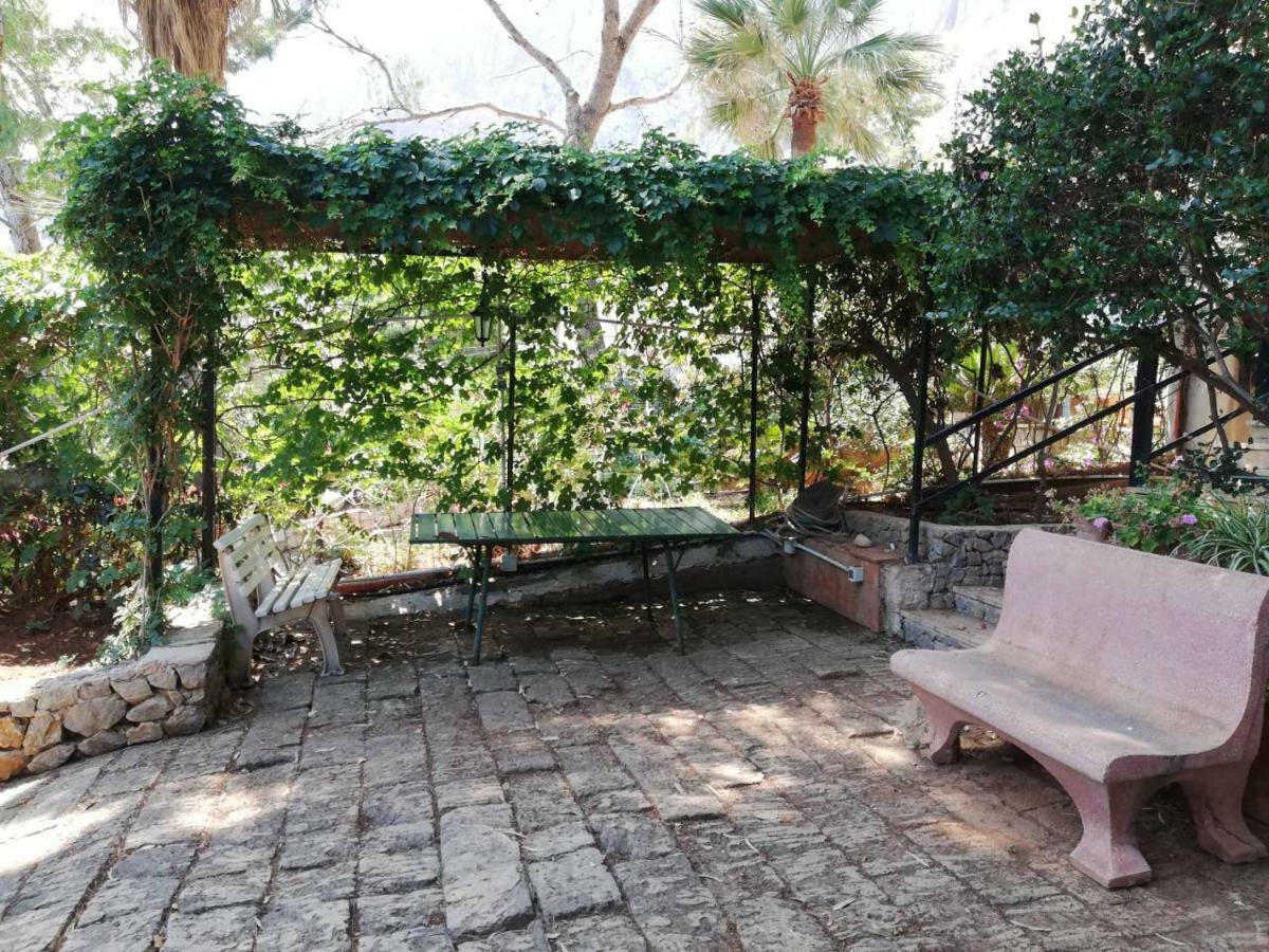 Casa Ammare Nella Riserva Di Capo Gallo Apartamento *