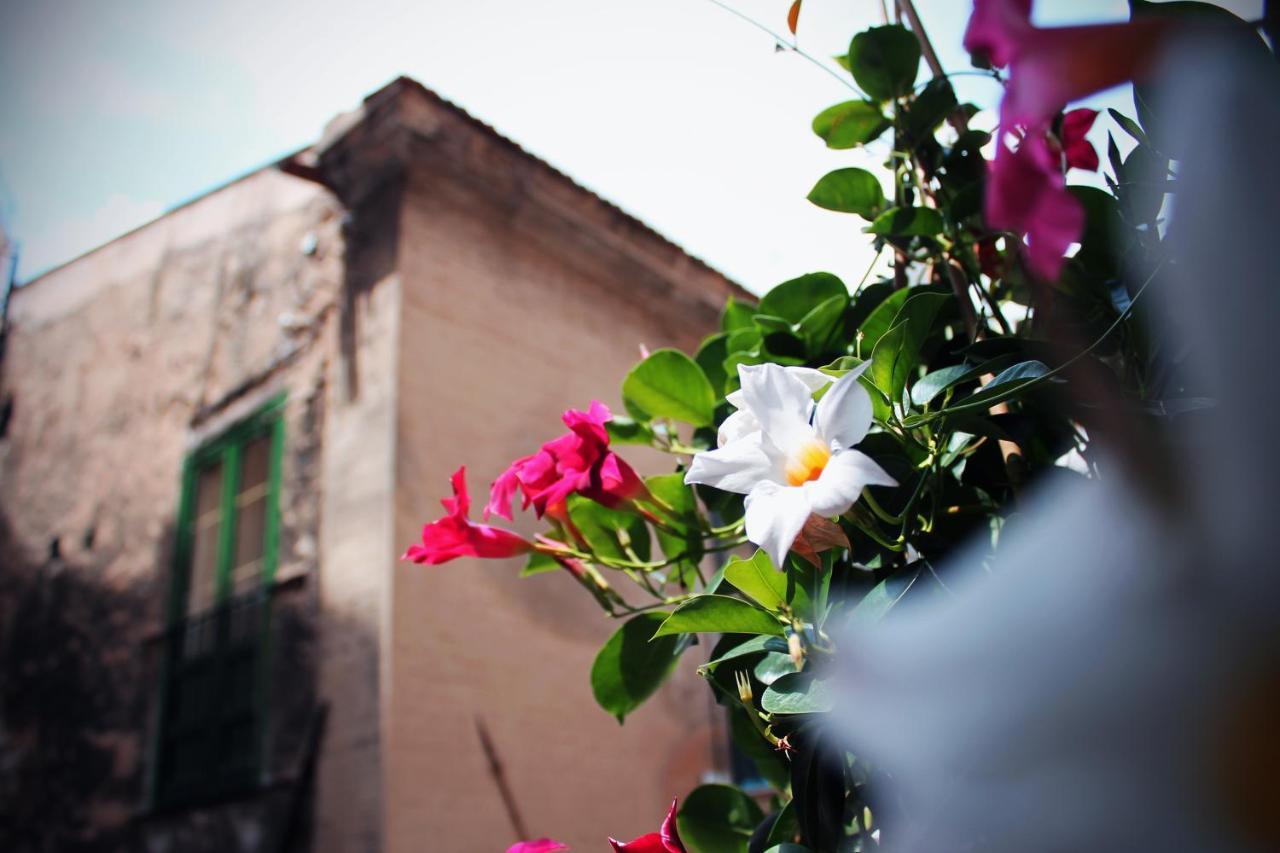 Bed & Breakfast Palazzo Delle Logge