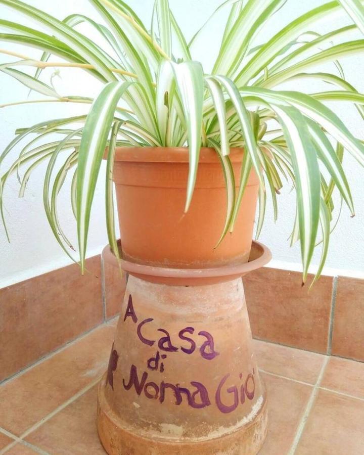 A Casa Di Nonna Gio Apartment Palermo