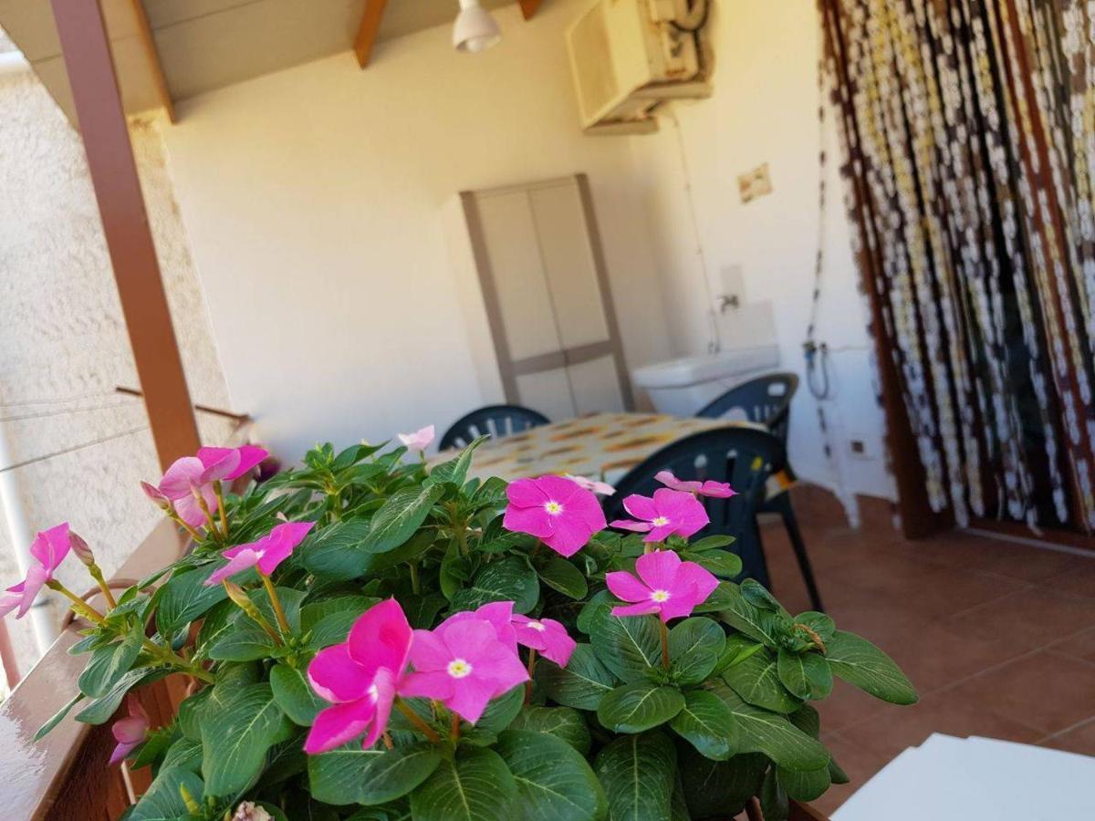 A Casa Di Nonna Gio Apartment