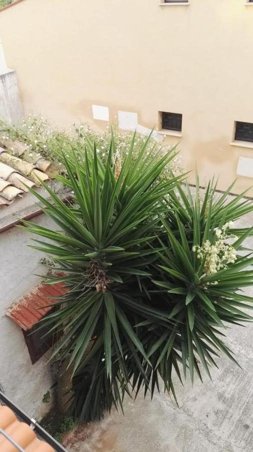 A Casa Di Nonna Gio Apartment *