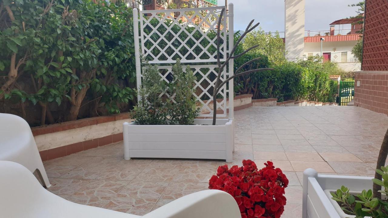 Apartment La Pomelia