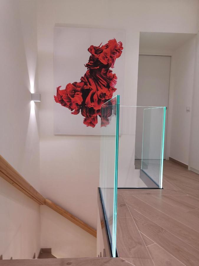 Betta Splendens Palermo
