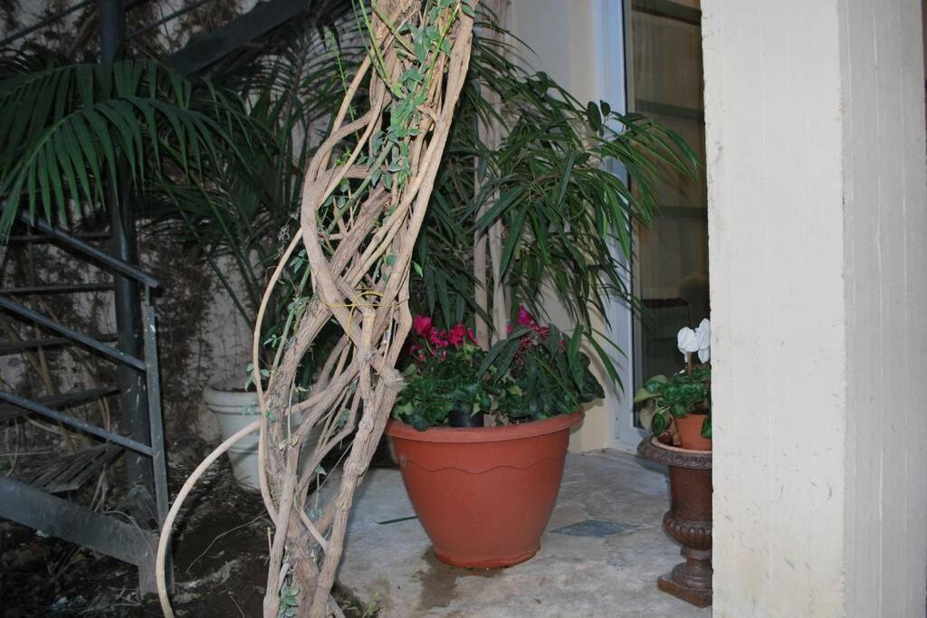 Casa Immersa Nel Al Centro Di Apartment *