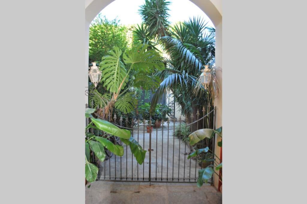 Casa Immersa Nel Al Centro Di * Palermo