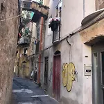 Tiny House Basilio