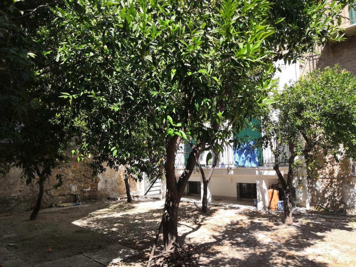 Garden House: And For Holidays