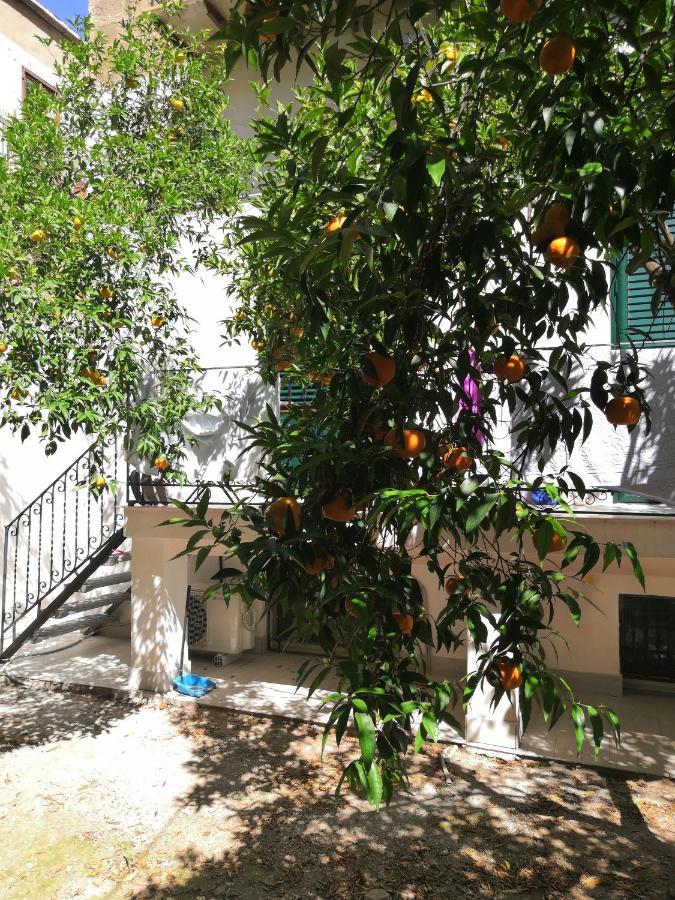 Garden House: And For Holidays