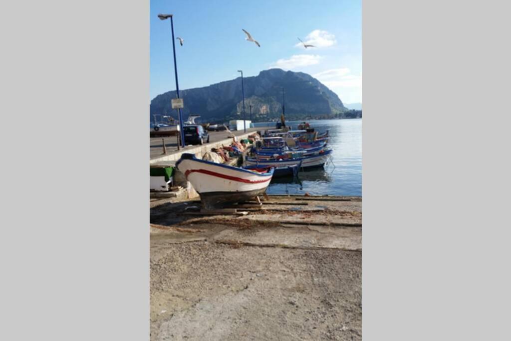 Casa vacanze Calypso's Shell Palermo