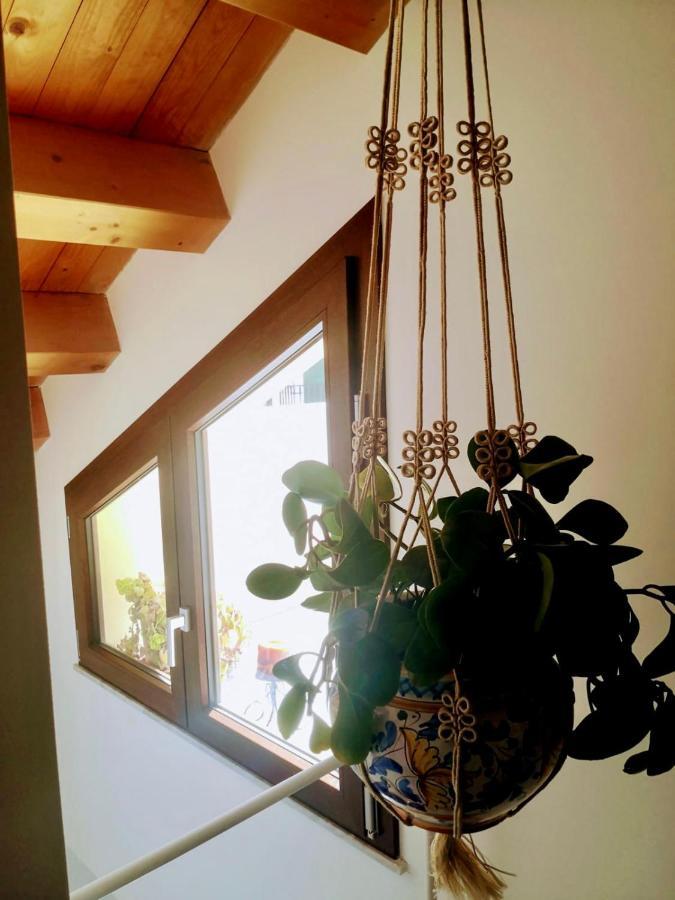 Cala Terrace Guest house *