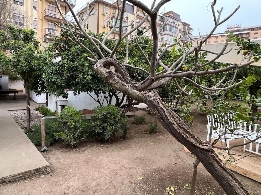 Ferienhaus Casetta Bianca Palermo