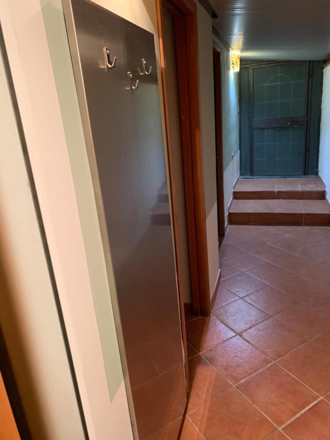 Convalis Hostel *