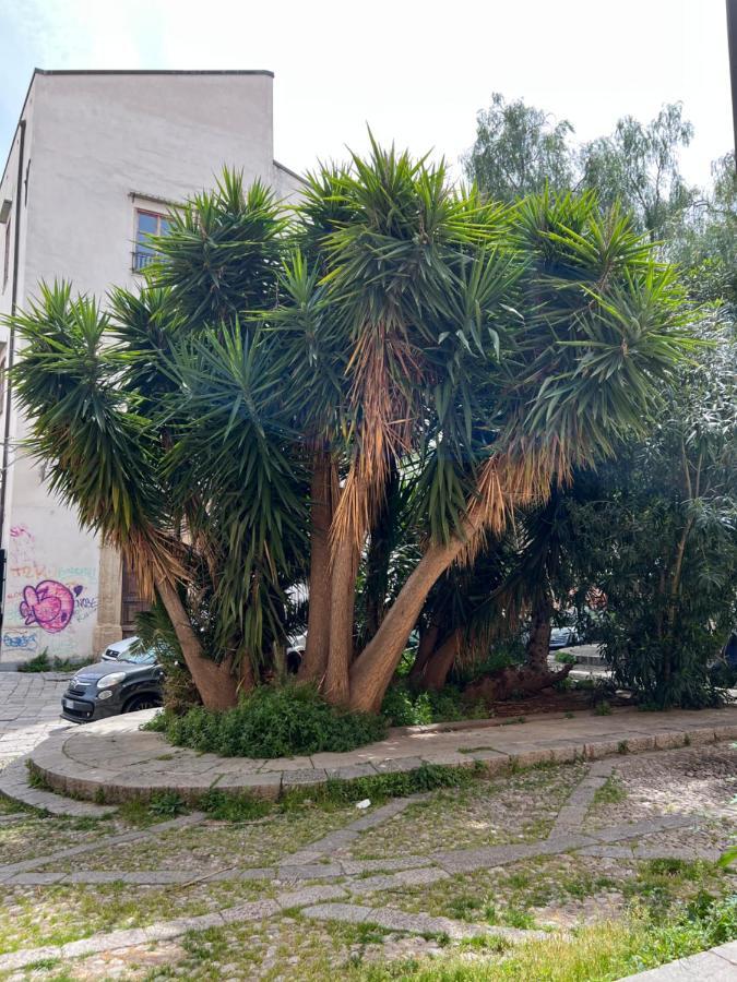 Pasetti House Appartamento *