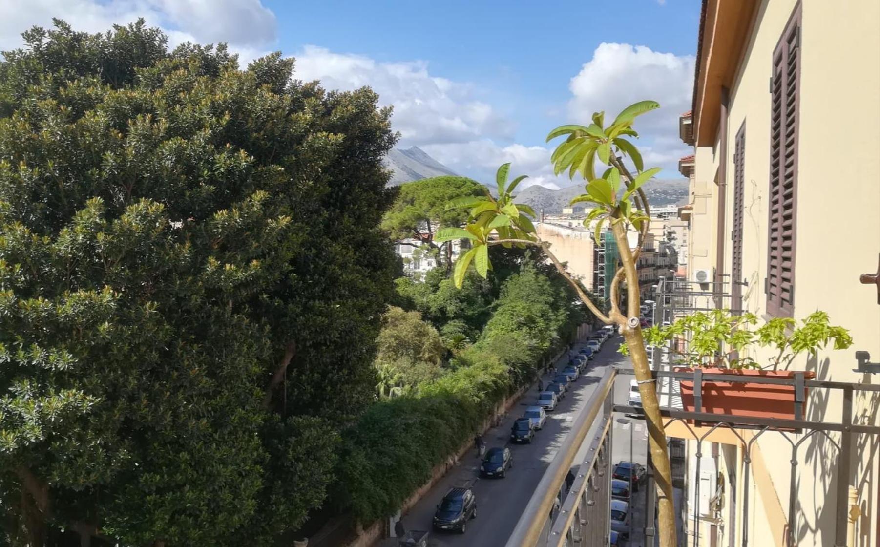 La Casa Sull'albero * Palermo